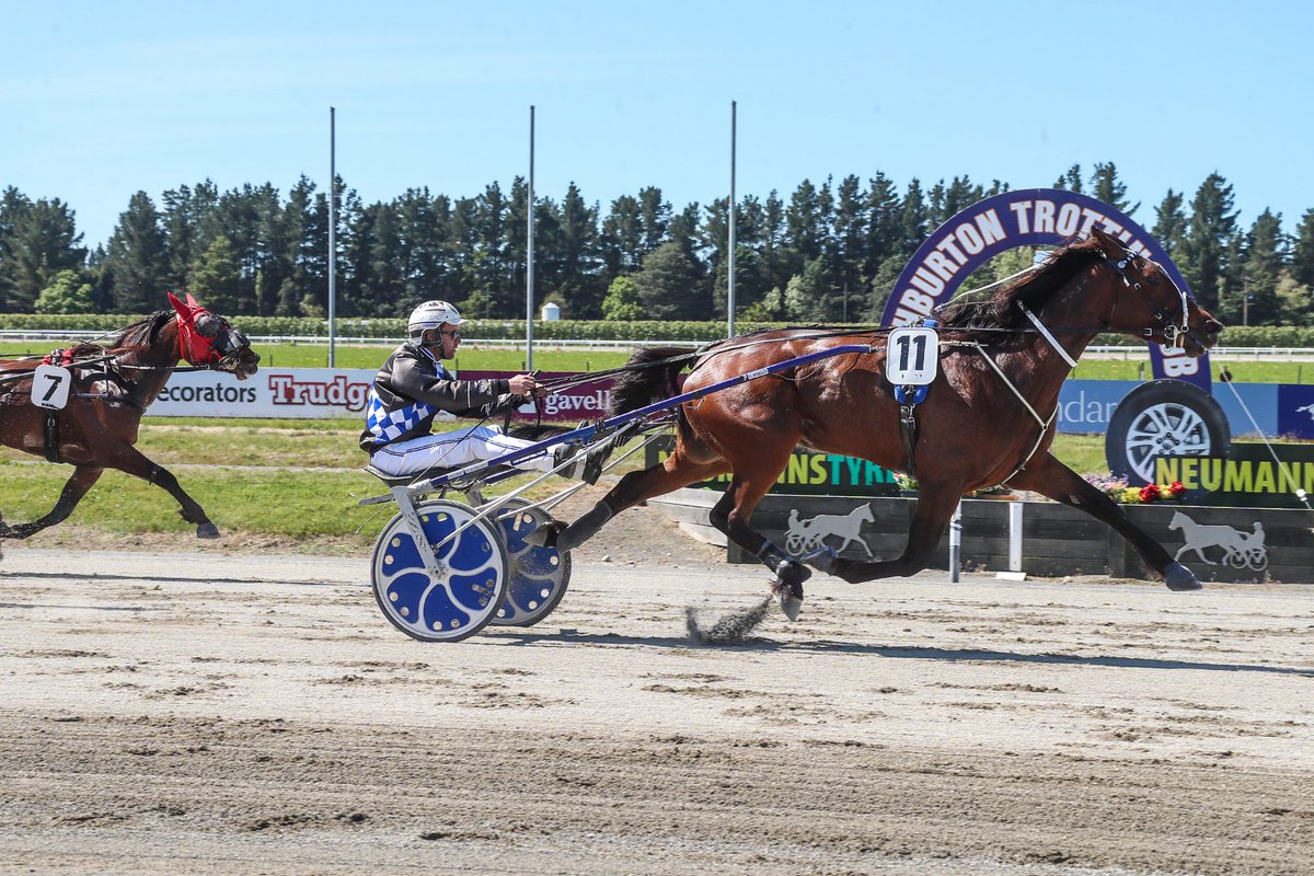 HarnessRacingNZ's tweet photo. "She's pure power" - Matt Cross
ISOLATE storms over top of them in the Group 3 Neumanns Tyres Hambletonian Classic to win in the hands of Nathan Williamson for his father Phil Williamson - it was Phil's first training win in the Hambletonian!
#groupracing #magicmonday https://t.co/Z6Izok2W5d