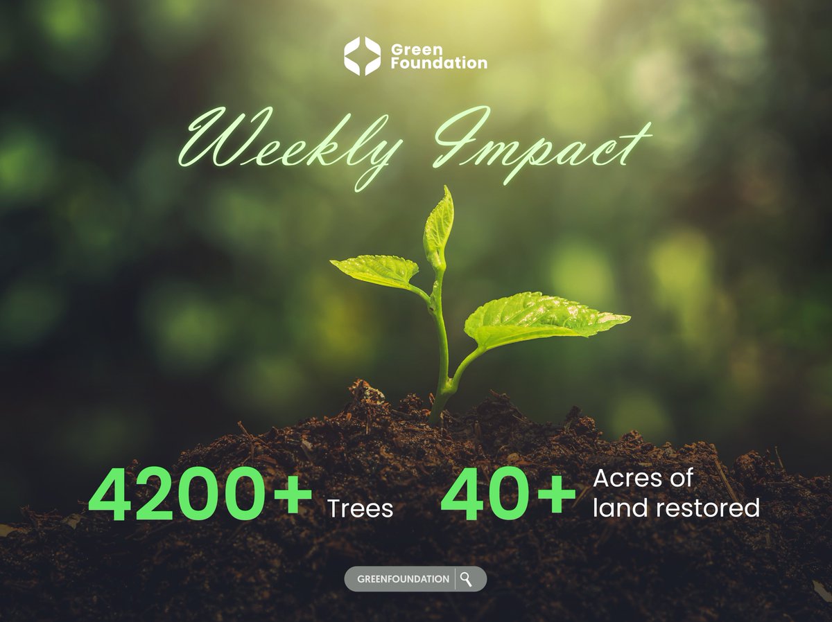 GreenFoundhssm's tweet photo. 🌍Weekly Impact Report📊

During the past week, our efforts led to the planting of 4200+ trees and the restoration of 40+ acres of land. These numbers reflect our ongoing commitment to environmental restoration and sustainability. Thank you for your continued support. https://t.co/vqYNbg9bWk