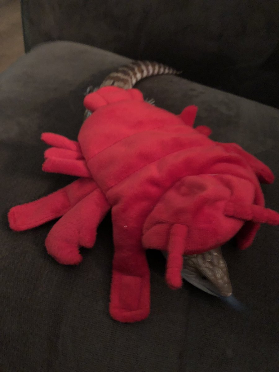 average__frog's tweet image. Lobster