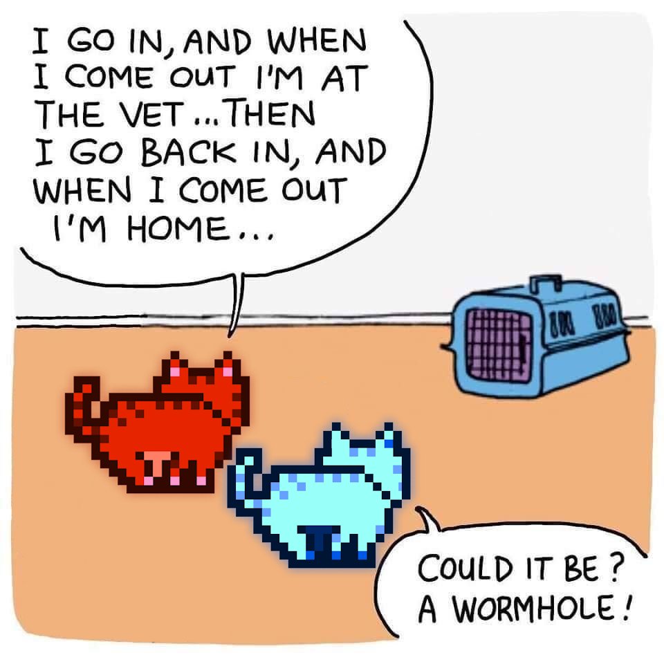 Crunchycat tweet media