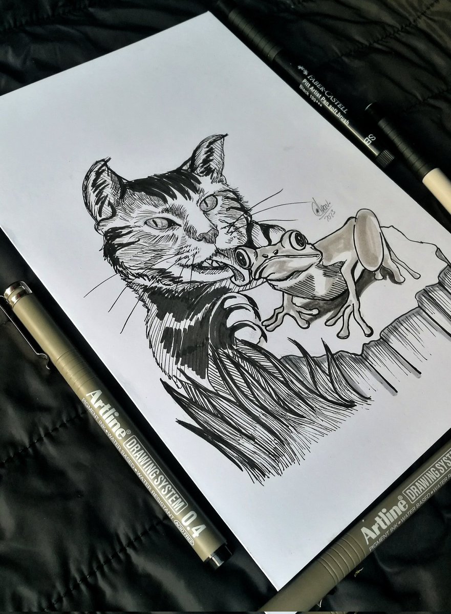 aleav_art's tweet photo. Día 22: #scratchy
Ñammmmm....... 🐸 Yo tendría la misma cara .😰
#inktober #ink #inktoberscratchy #inktober2023 #Inktober22 #tinta #sketching #drawing #sketchday #art #lined #sketchbook #dibujo #art #arte #artist #cat #frog #raspar #animals #aspero #inktoberchallenge https://t.co/vadHca07pZ