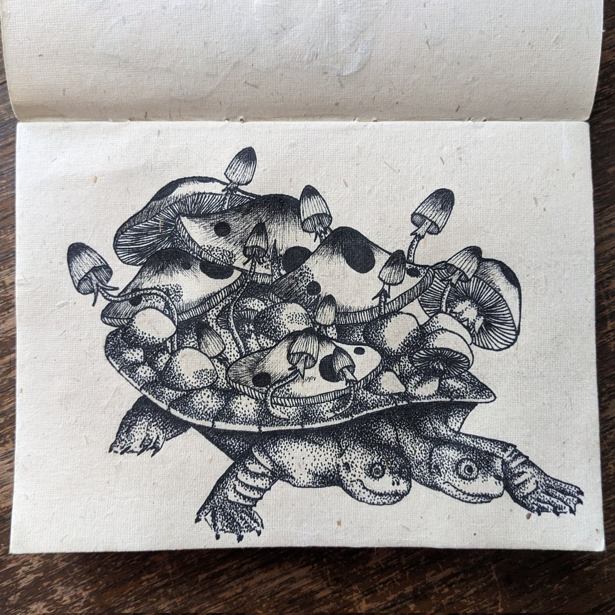 Dylan Polglaze tweet media