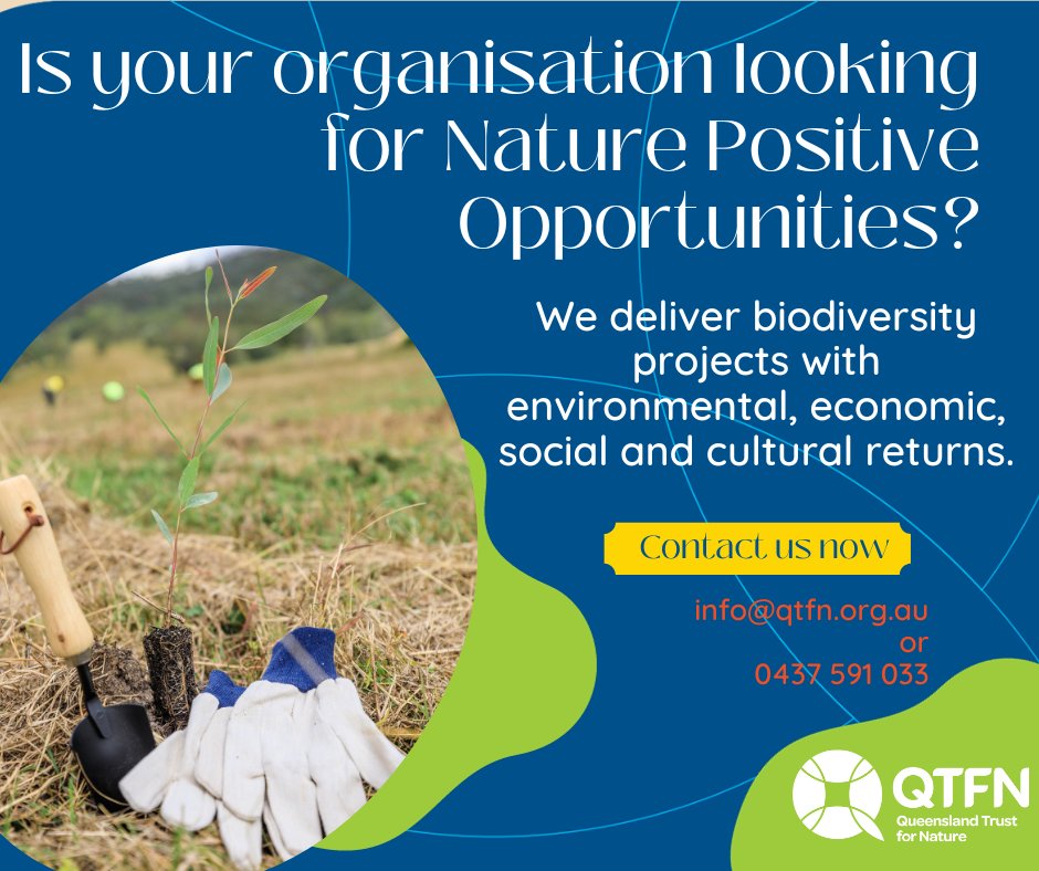 QldTFN's tweet photo. https://t.co/kSJTD8yYGD