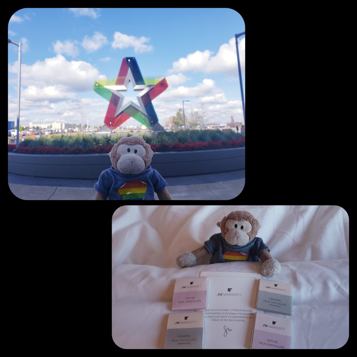 TravelingMocha's tweet photo. How it started. How it ended (turndown service chocolates!) #MonkeyBusiness #MinnesotaMonkeys #MallOfAmerica #HowItStarted #HowItEnded #chocolate https://t.co/tK2D87HORm