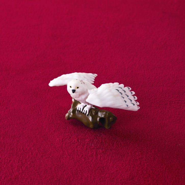 ゜______⚡ 10月25日発売！ カップアクセサリー（ヘドウィグ