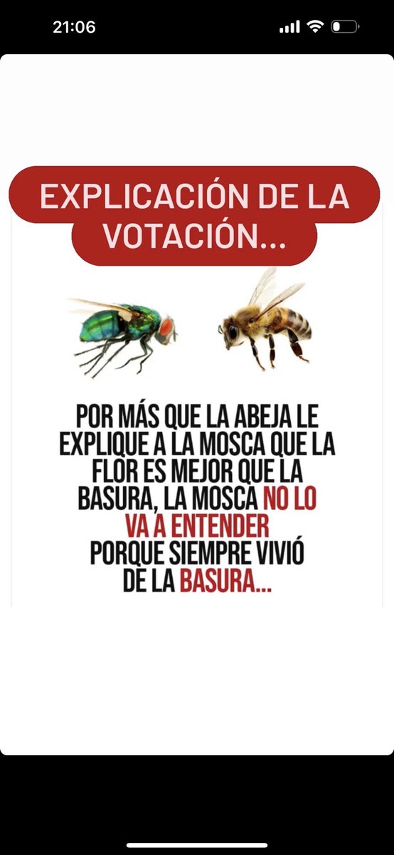 Joaquin Maqueda (@jcmaqueda) on Twitter photo 