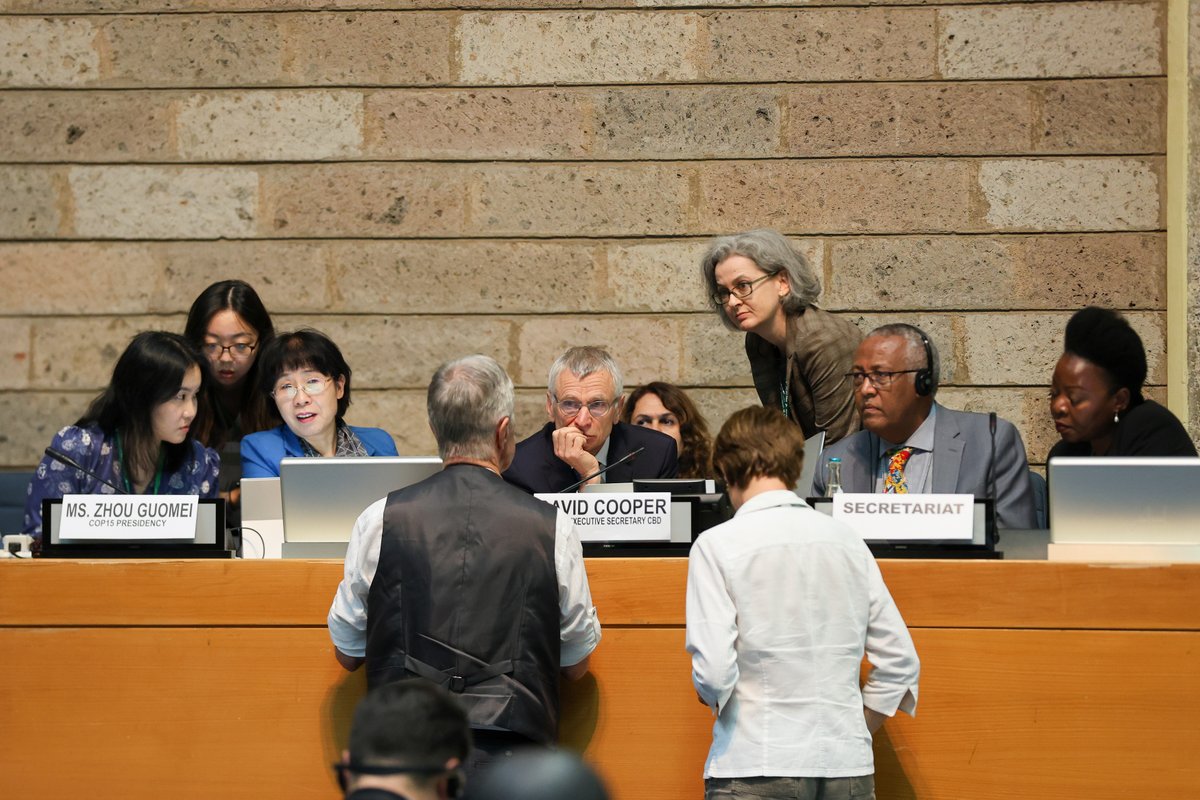 IISD_ENB's tweet photo. Ten months after adopting the Kunming-Montreal Global #Biodiversity Framework, negotiators met to provide expert advice on the scientific, technical, and technological aspects of #GBF implementation
Summary ➡️ https://t.co/6NY1MJ3thD
#ForNature #post2020 https://t.co/V4kWpNGKkC