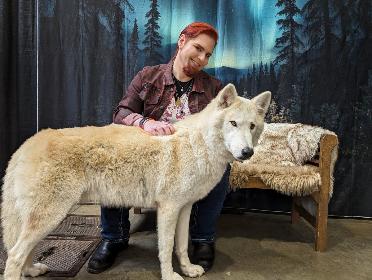MichaelAZekas's tweet photo. The shameless Alaskafication of Michael A. Zekas: Voice Actor
(feat. Ender the goodest majestic wolf dog of Wildefell Wolves) https://t.co/BmEM8OH6pf