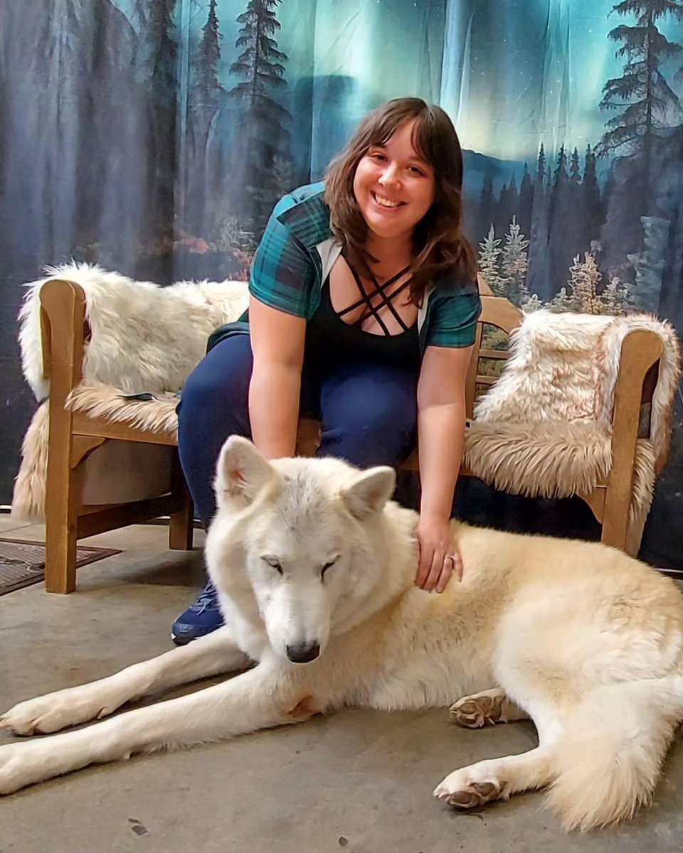 Megami33's tweet photo. Also, shout out to Wildefell Wolves for letting me get the chance to meet Ender &amp; see all the wonderful animals they've rescued. Definitely check out their page to learn more about their educational animals. 🐺💖🦉 #chattanoogacomiccon https://t.co/IC8OV3d9f5 https://t.co/AX2UYNZvS2