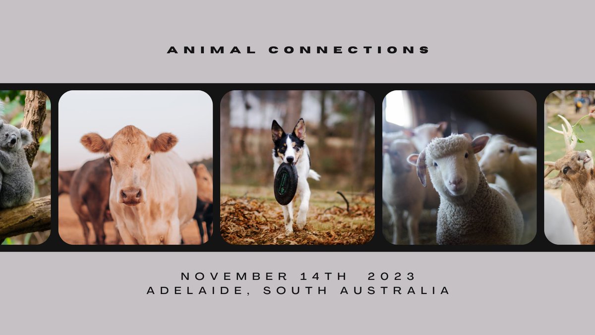 ISAE_Oceania's tweet photo. Only 1 week before registrations close for the ISAE Oceania meeting in Adelaide!

https://t.co/WSkZlGfkSB https://t.co/fC8Xy4UVNC