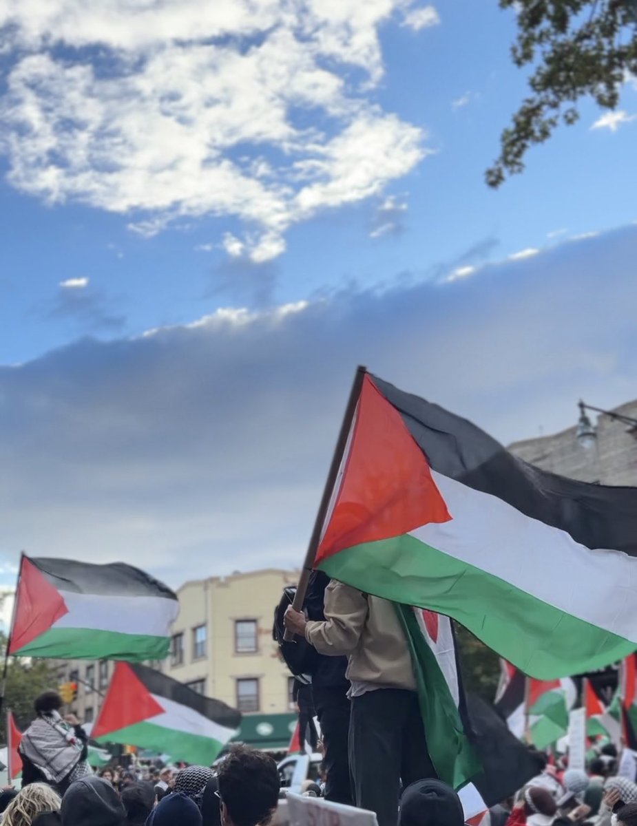 Brooklyn came out for Palestine yesterday 🇵🇸 #FreePalestine #WithinOurLifetime