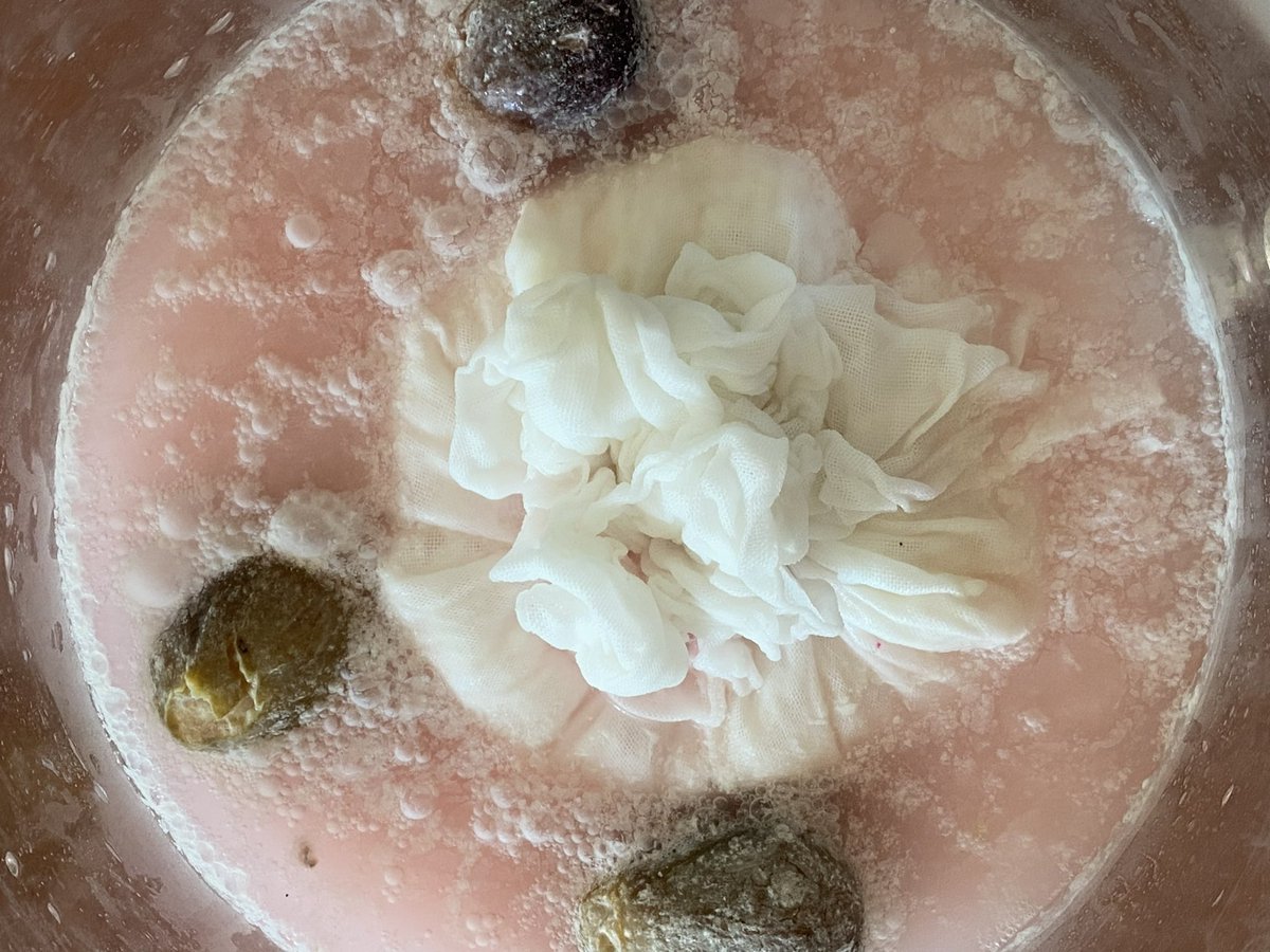 FOODSTORY_Japan's tweet photo. Always surprised how fast the fermentation kicks in LA. Natural sake making doesn’t start with fruits. But thought of using natural yeast of fruits will accelerate the fermentation. We see bubbling in two days! It’s a pre-sake making step cultivating lactic-acid. #naturalsake https://t.co/aqplb7XZnQ