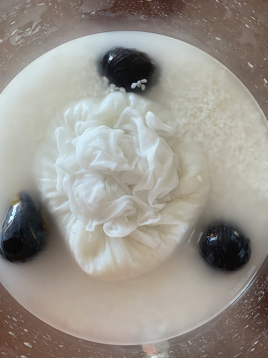 FOODSTORY_Japan's tweet photo. Always surprised how fast the fermentation kicks in LA. Natural sake making doesn’t start with fruits. But thought of using natural yeast of fruits will accelerate the fermentation. We see bubbling in two days! It’s a pre-sake making step cultivating lactic-acid. #naturalsake https://t.co/aqplb7XZnQ