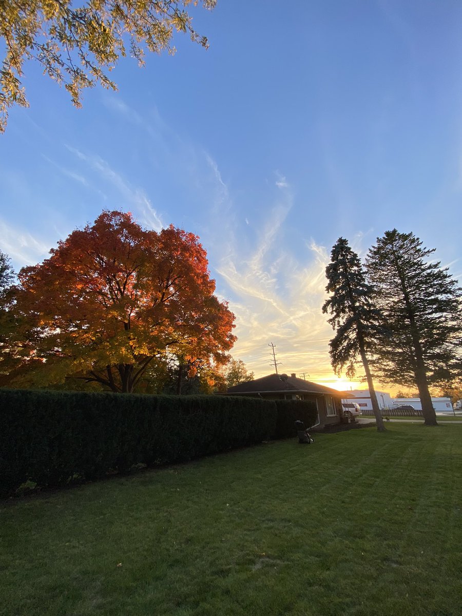 mgscott01's tweet photo. Backyard tree report https://t.co/YG3Ucmzxqd