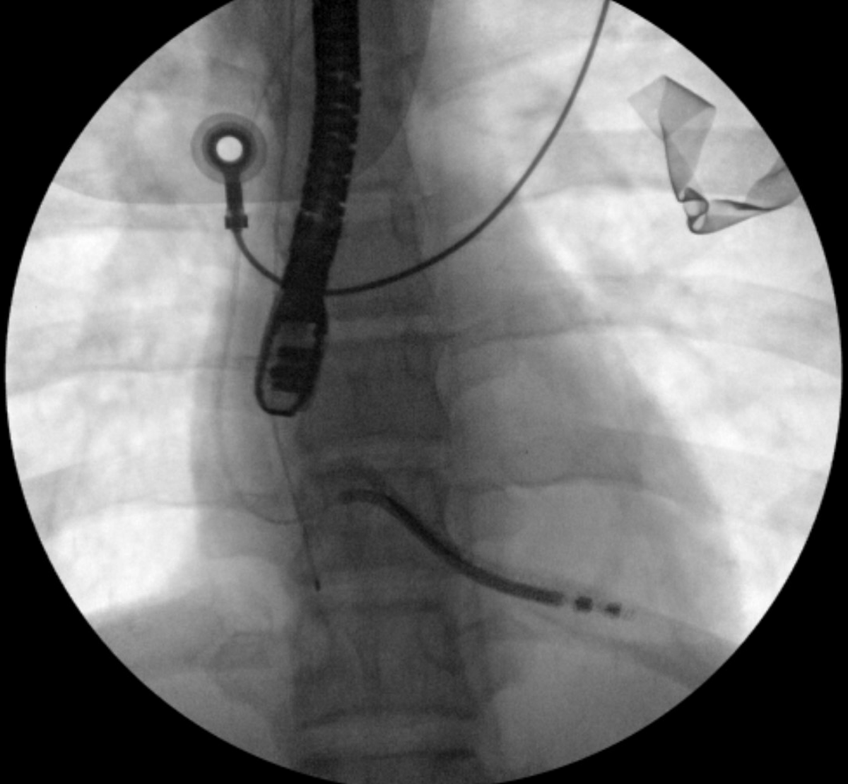 Jeffrey M Vinocur tweet media