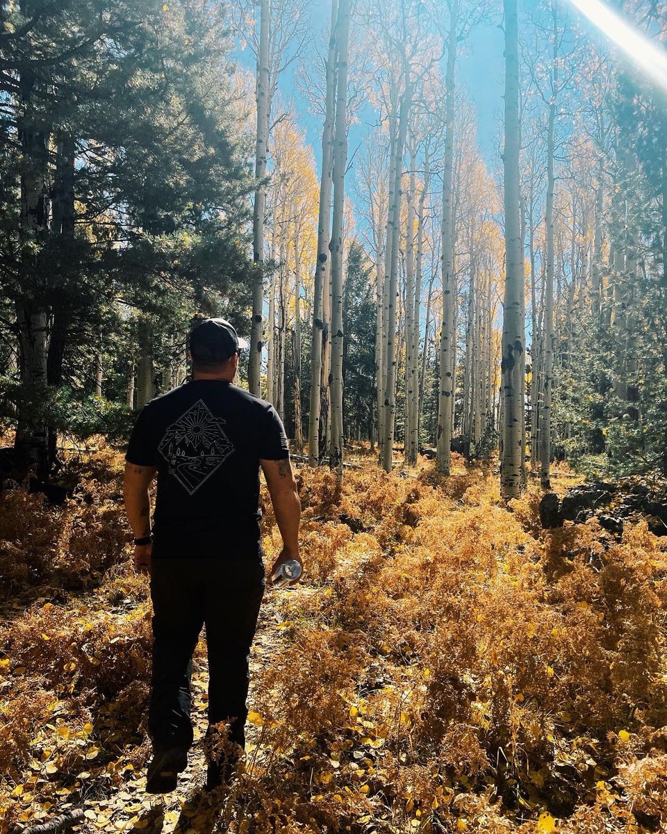 malewis520's tweet photo. Took a little trip up north to explore https://t.co/xxVREqOLvR