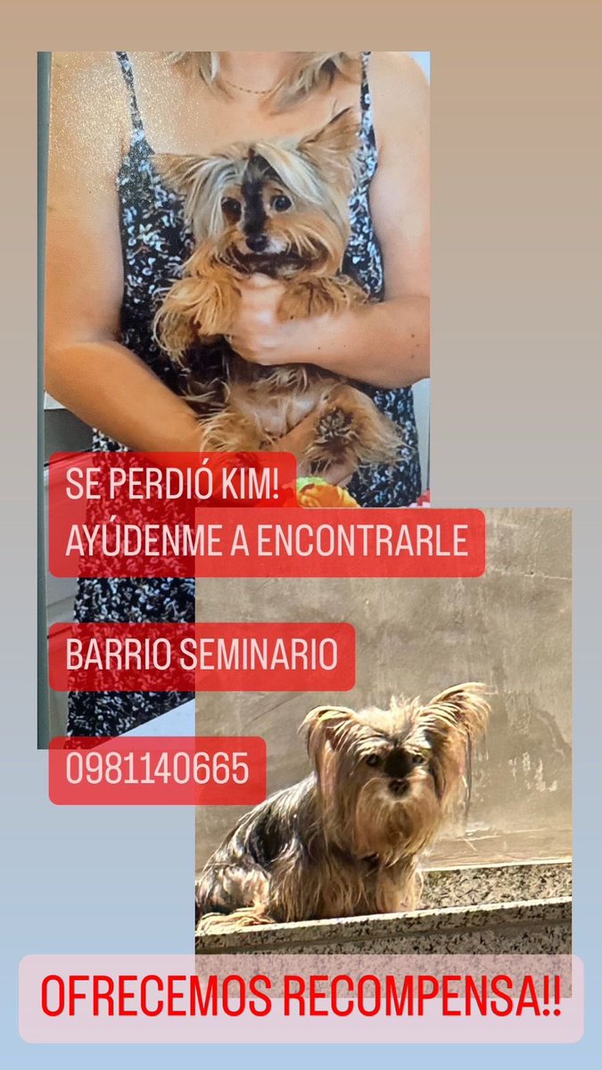 Por favor si alguien la vio! Es lo único que me queda de mis perrihijos 😭 ya tiene 10 años, necesita estar con su familia 😭