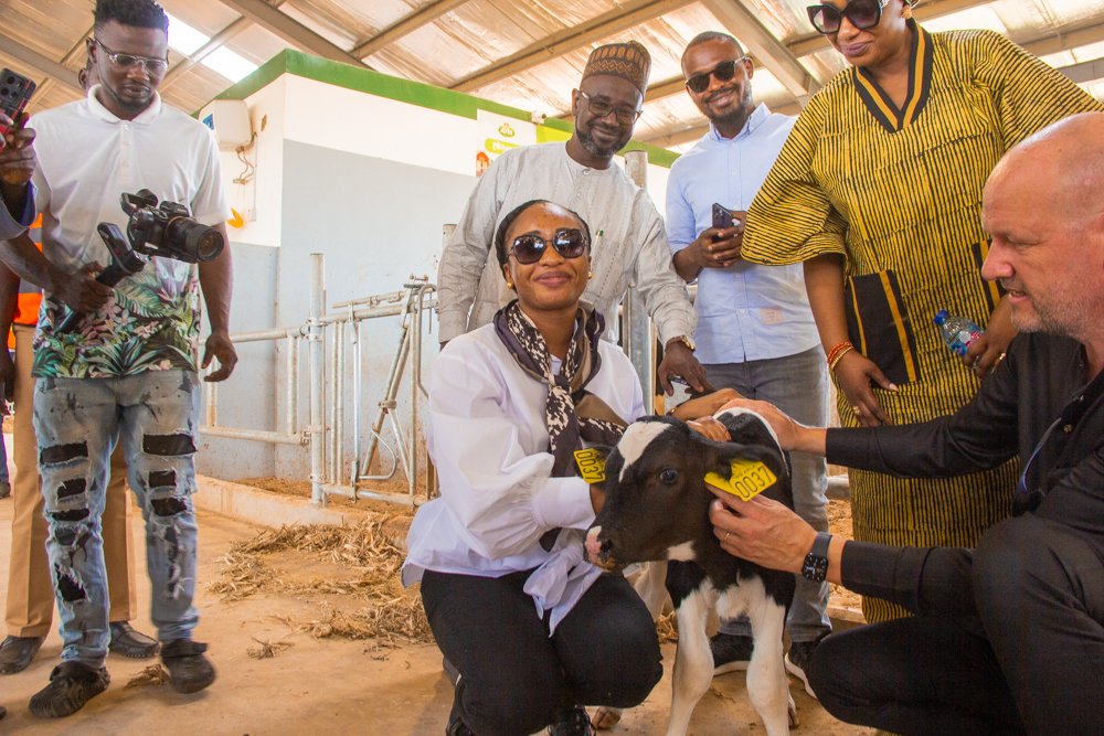 KadunaMOAgric's tweet photo. Commissioners of @KadunaMOAgric, @KDSG_MBIT and Special Adviser - Investment &amp; Promotion visited @Arlanigeria Dairy Farm in Damau, Kubau LGA. Arla farm is a 400ha facility to house 400 dairy cows, modern milking parlours, pasture land and living quarters for at least 25 employees https://t.co/0DtKmvWLpw
