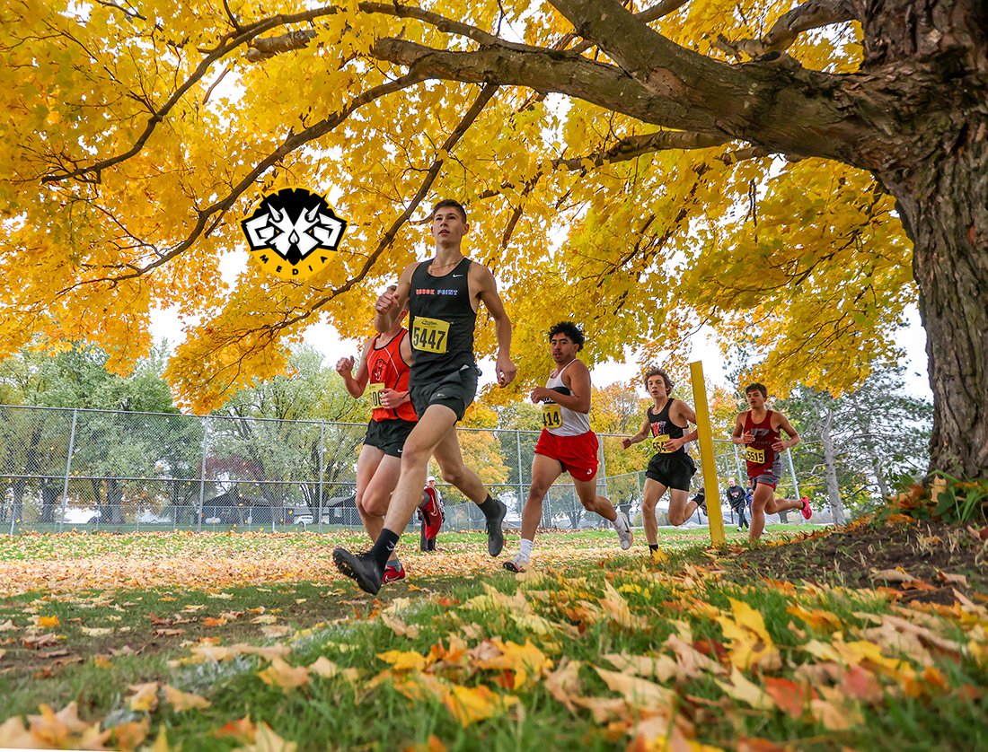 10-21-23 D2 Logan cross country sectional (boys)
West Salem won the D2 sectional with a score of 41, while Dodgeville/Mineral Point (48) was second.
#wspanthers #wdchiefs #getredhawks #dmpcc #dodgevilledodgers #wiscc