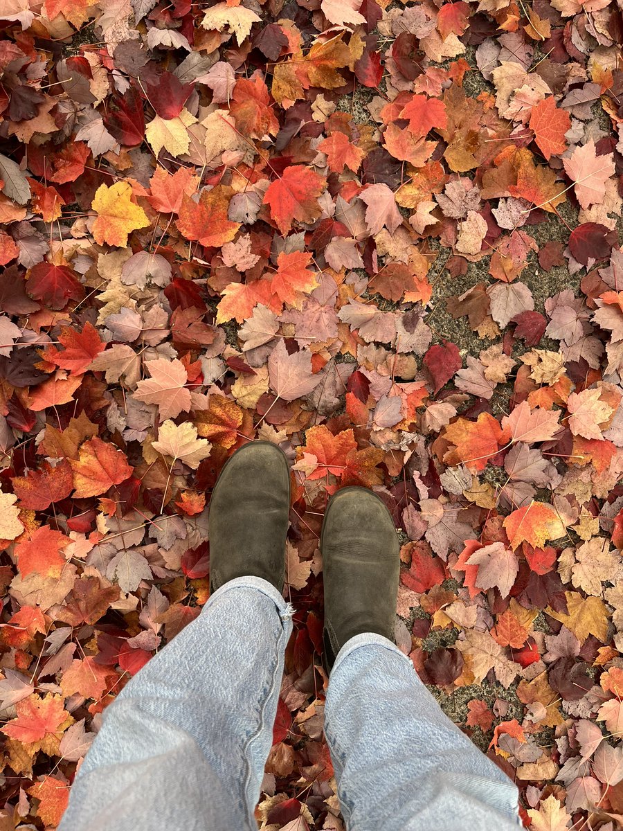 🍂🍁😌