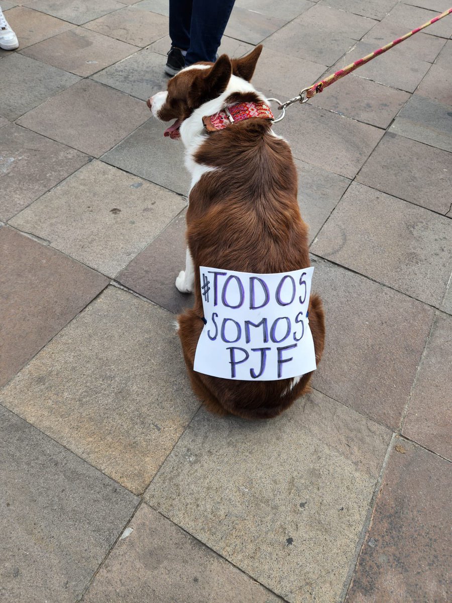 #TodosSomosElPoderJudicial 4T VT ALV #FueraMorena