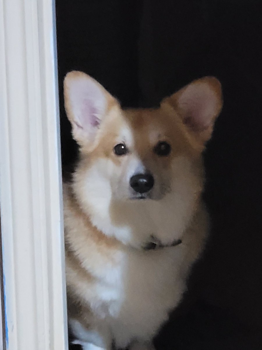 MessyEssy tweet media