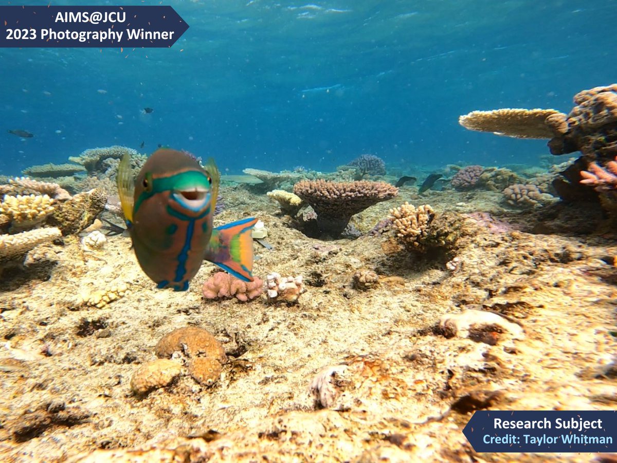 Australian Institute of Marine Science tweet media