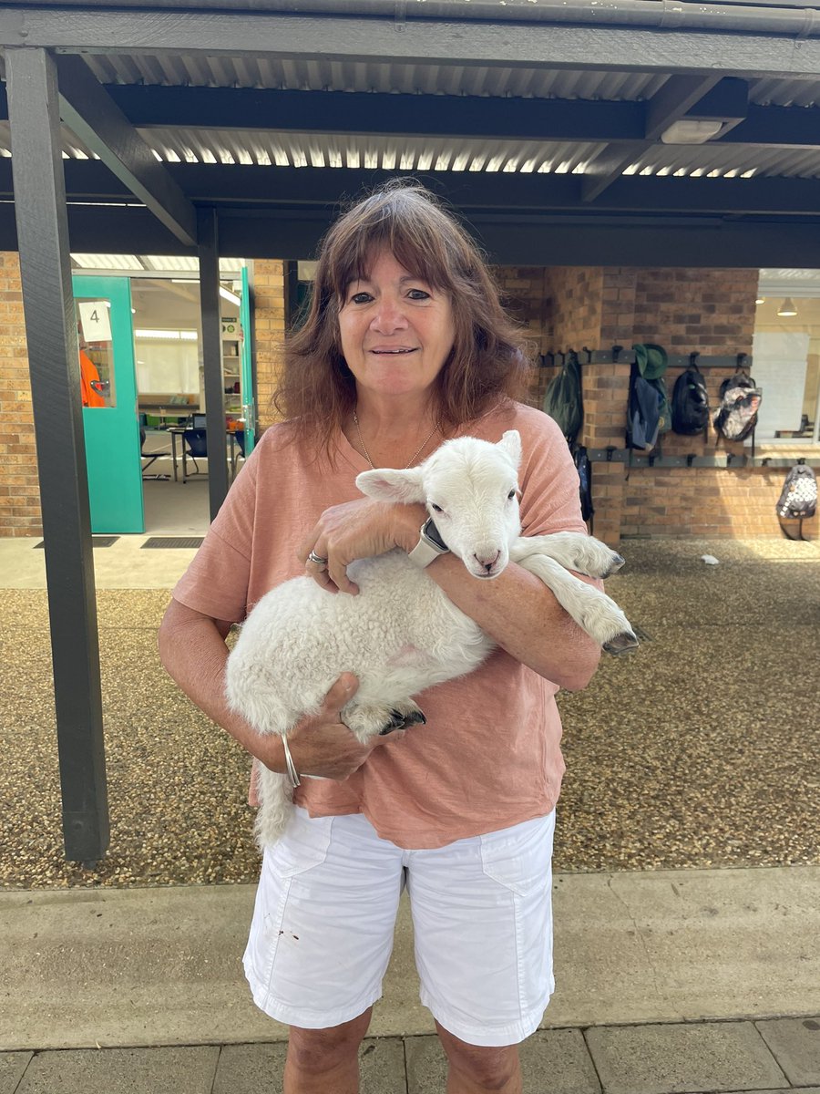 yr4tell's tweet photo. Meeting Yoda the lamb with Mrs Willoughby 🌟🌟🌟 https://t.co/D8RAK4xnHJ