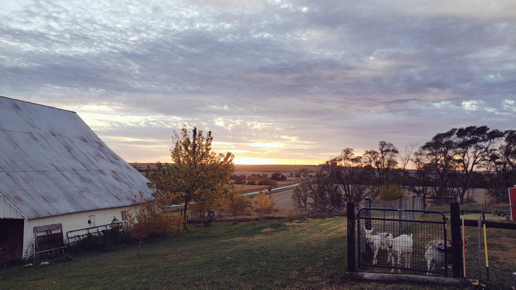 durandcompton's tweet photo. Five minutes apart. #farmzen https://t.co/8Zq9XbVl8j