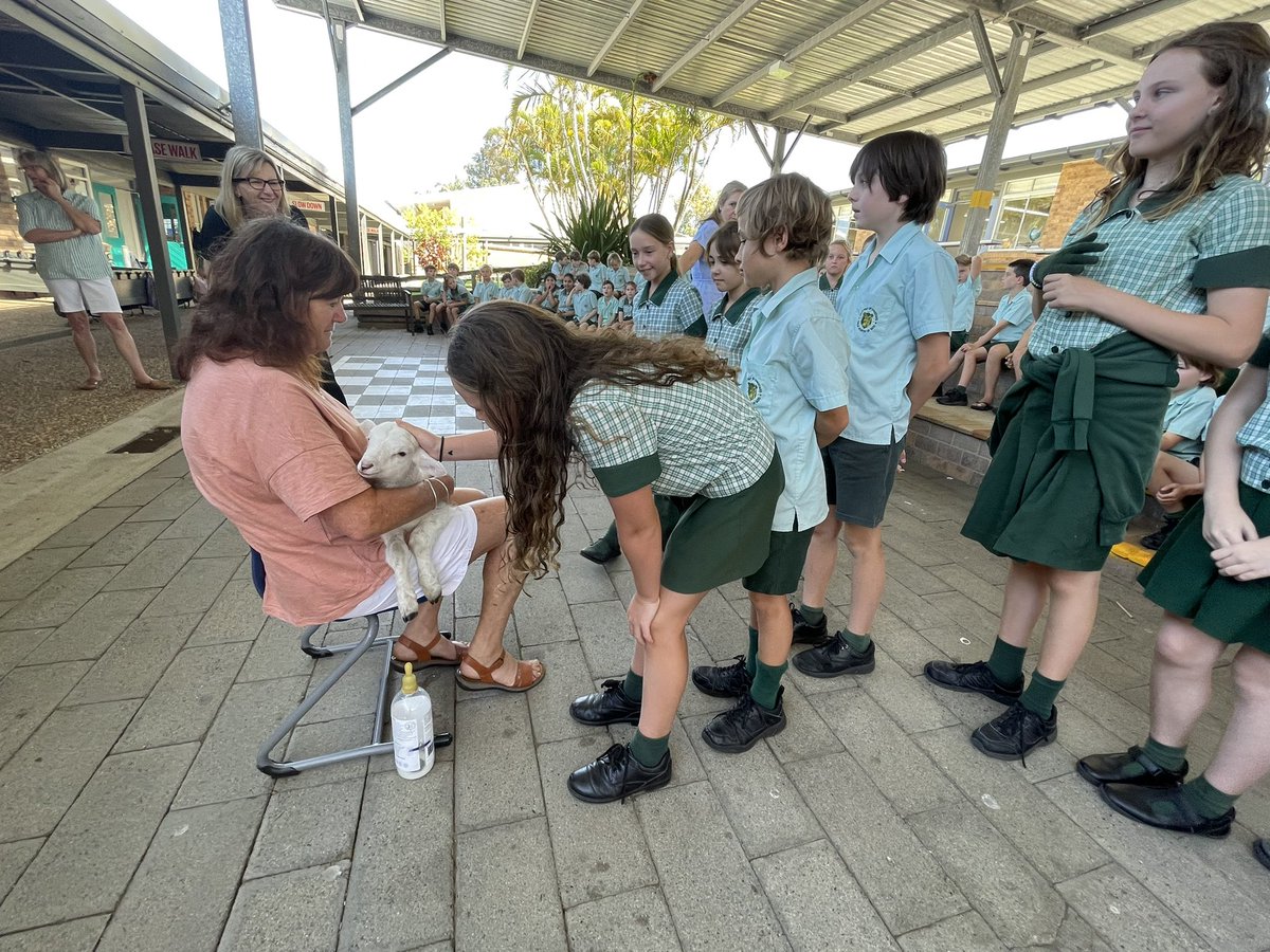 mhocyear3's tweet photo. Meeting Yoda the lamb with Mrs Willoughby https://t.co/Uj55HvAgdz