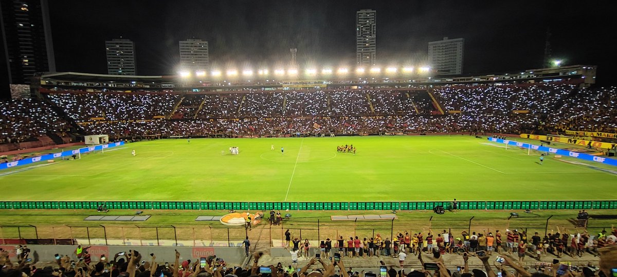 Everaldo tweet media