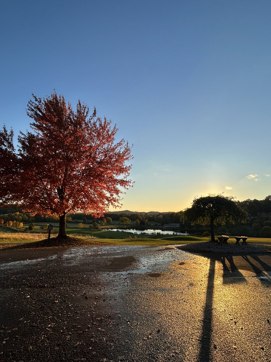 Oak Shadows G. C. tweet media