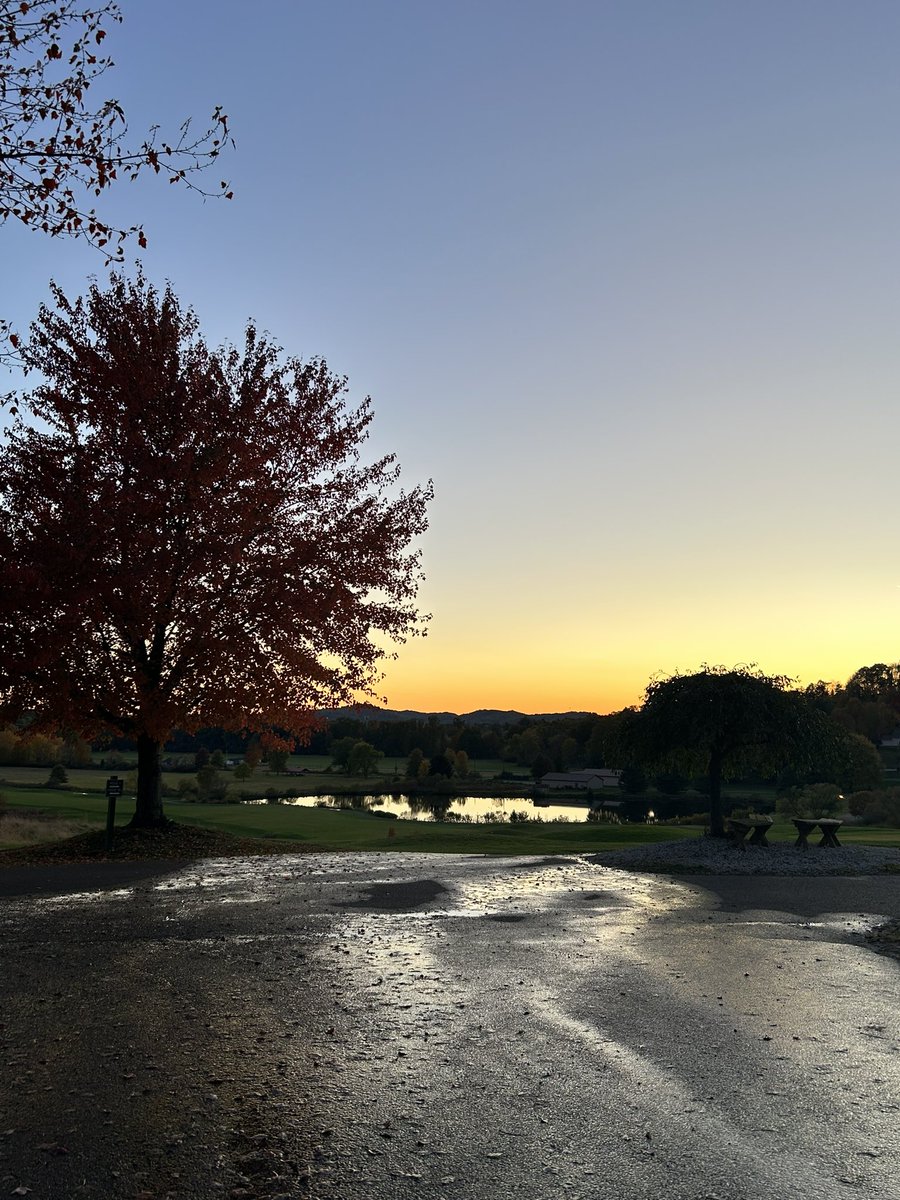 Oak Shadows G. C. tweet media