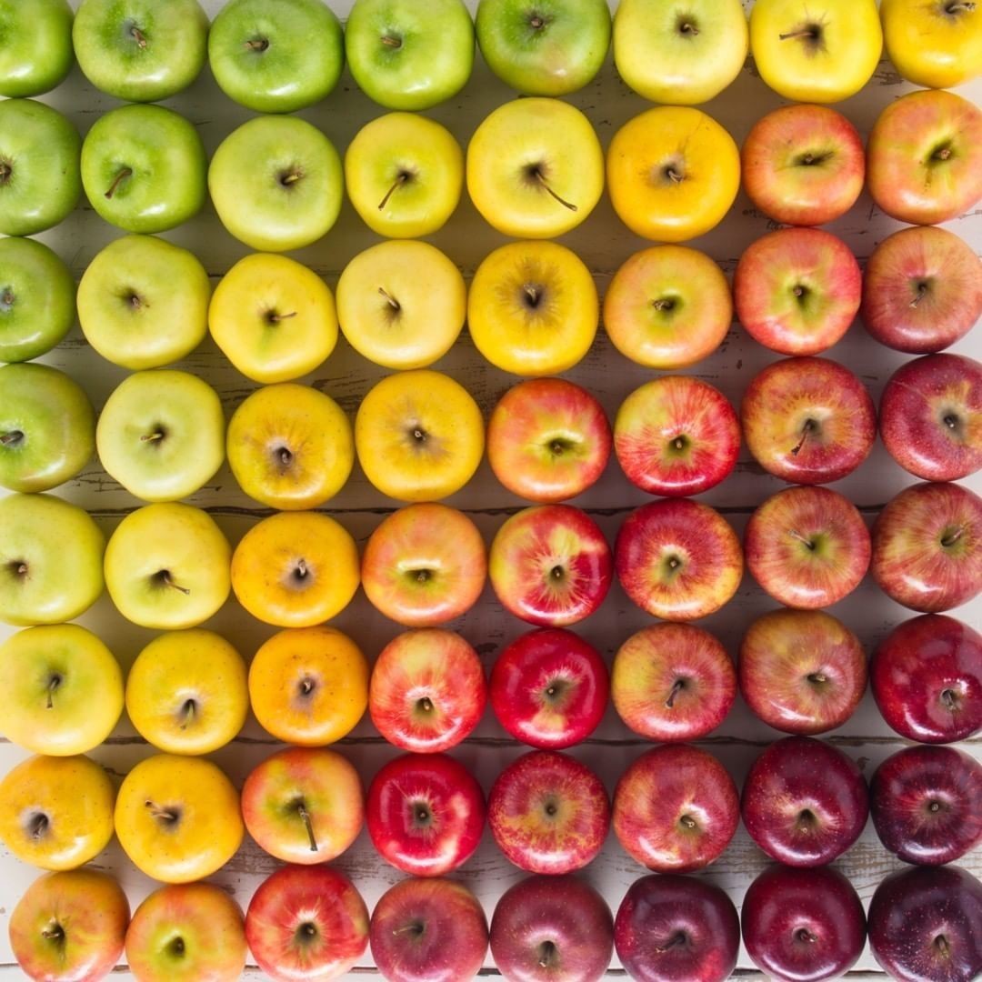 MelissasProduce's tweet photo. Which one are you grabbing first? 🍎 🍏 🍎 🍏
#melissasproduce #appleseason #ombreapples #fallproduce https://t.co/k17dzQFuvh