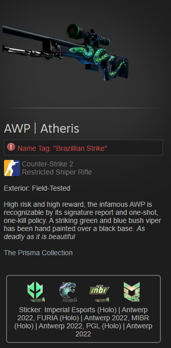 Team Atheris (Atheris Esports) CS:GO, roster, matches, statistics