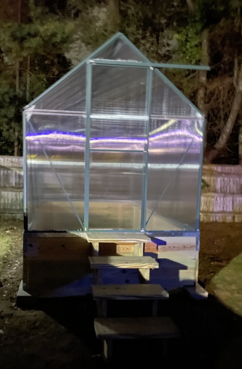 TigerRose420's tweet image. Hard part is over. She’s built , raised and out where she belongs.

And 26” taller with this base.    

🍁🌿🍂🪴🌾🍁🌿🍂🪴🌾
#fallproject #greenhouse