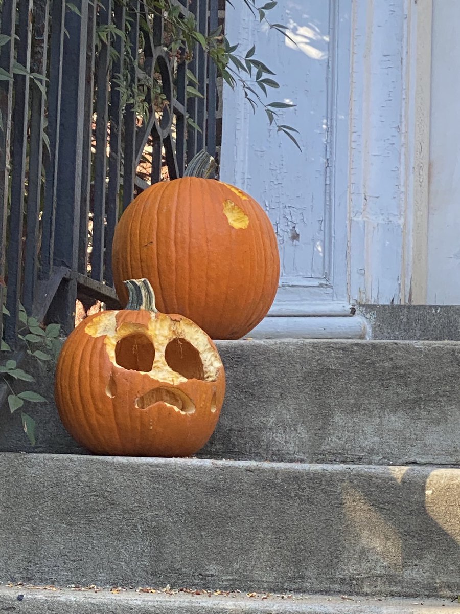 PabloPardo1's tweet image. Squirrels are eating this pumpkin in a very artistic way just to enhance the spirit of Halloween #Kalorama