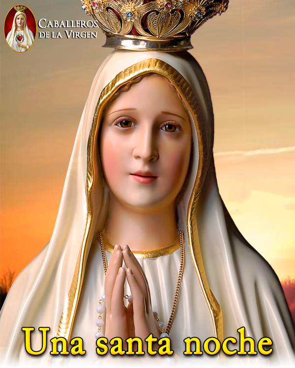 Caballeros de la Virgen tweet media