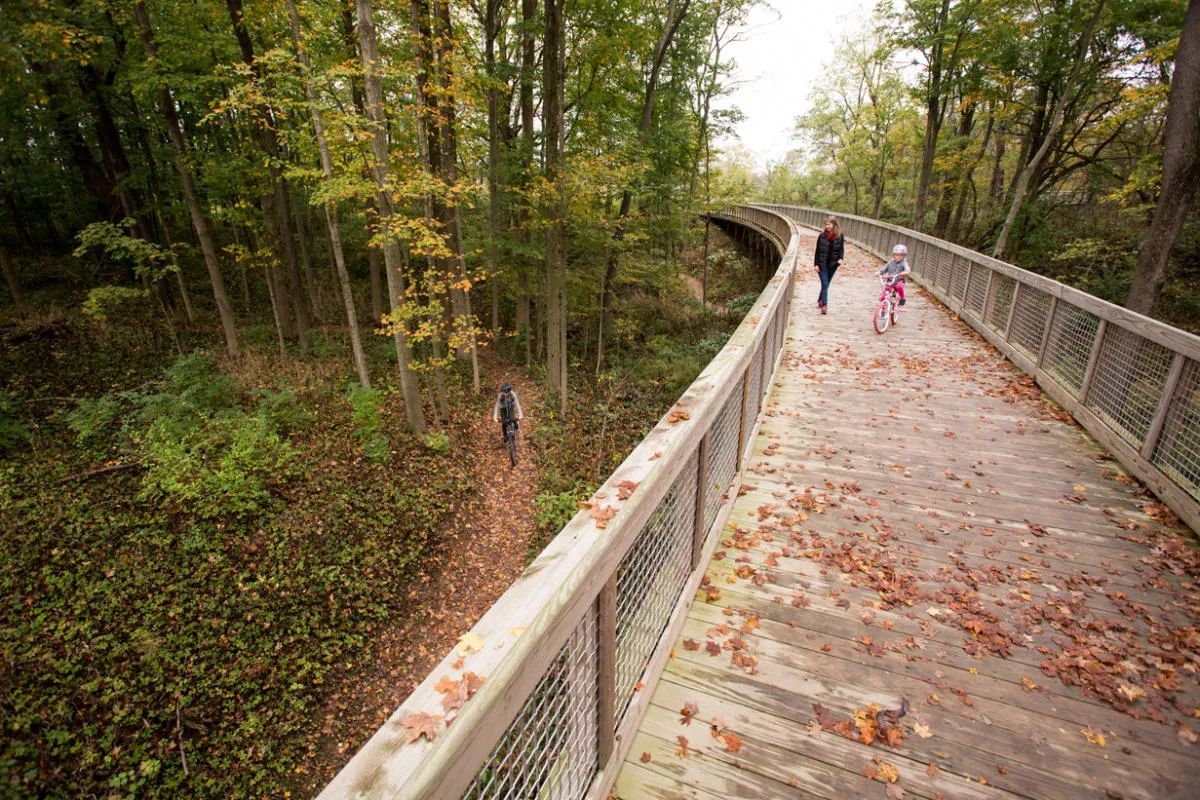 VisitIndiana's tweet image. Are you looking for a hiking challenge? May I suggest a few? 

20 Places to Plan Your Next Outdoor Adventure in Indiana 😎 

𝐑𝐄𝐀𝐃 𝐌𝐎𝐑𝐄: bit.ly/3bJHXNd 

#visitindiana #INIndiana #INnature @INDNRstateparks @INdnrnews