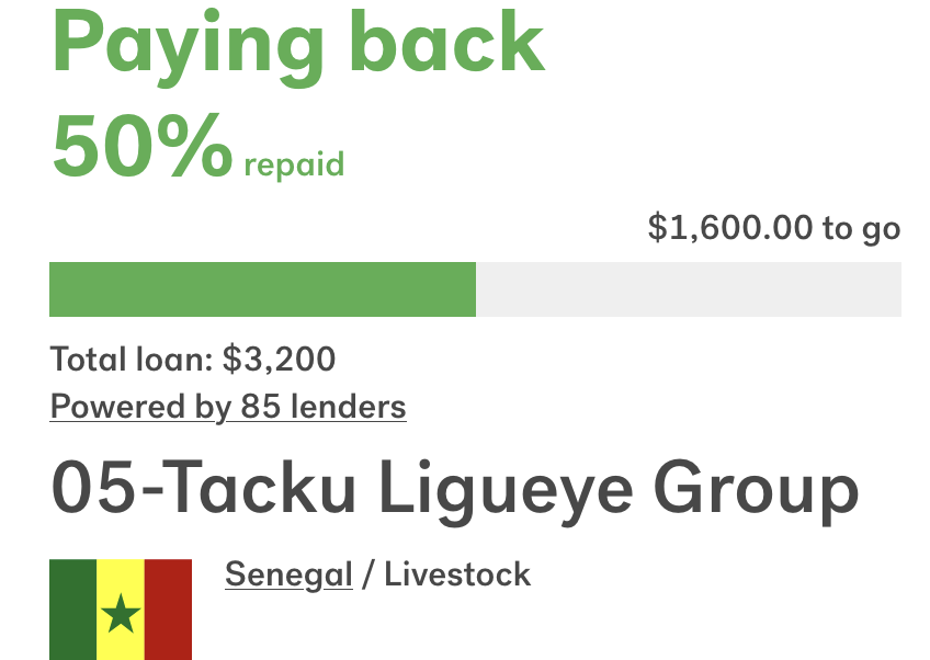 ANEW Pool || Ticker: ANEW || アニュー || anewpool.io tweet media