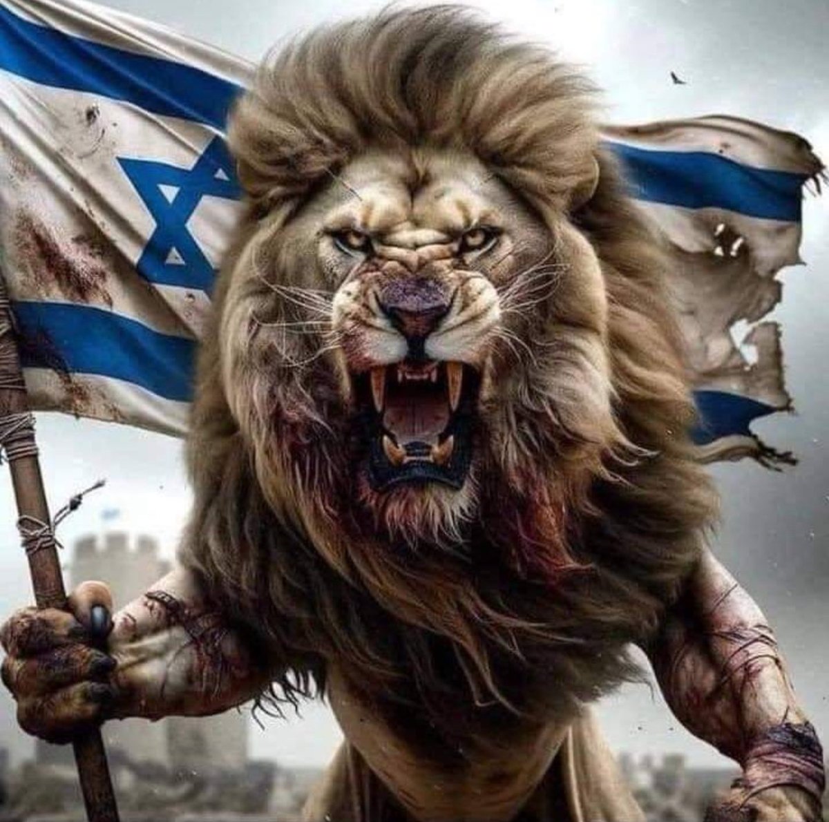 1AviNation's tweet photo. #IStandWithIsrael https://t.co/Pd2Il2l5q1