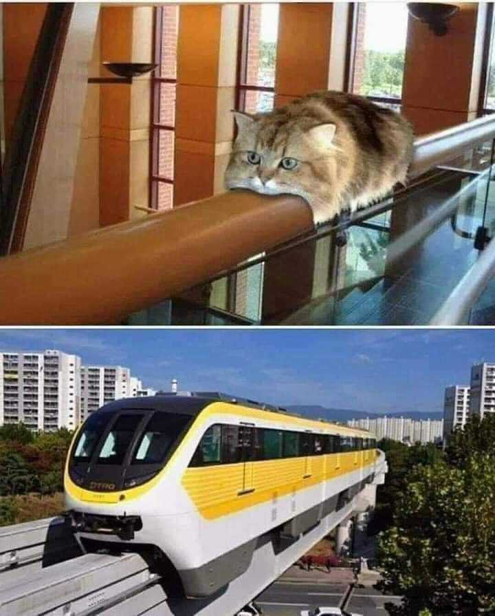Cosplay