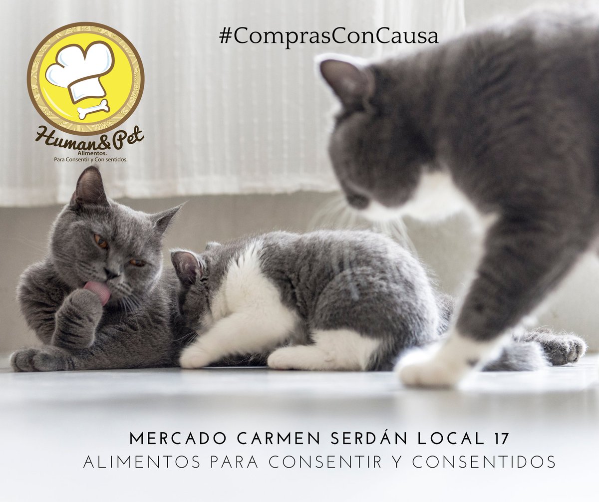 Graphos Comunicación Creativa tweet media