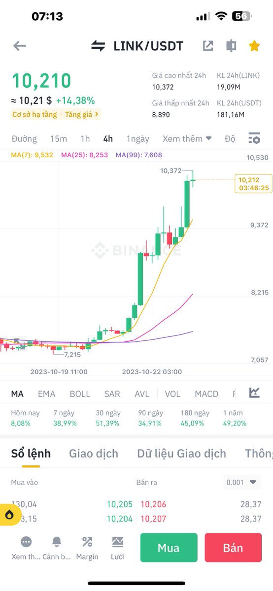 Why own a cat tweet media