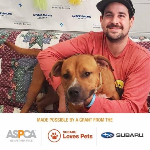 Adorable! A couple of the Adoptions of the Week photos, thanks to <a href="/LMSubaru/">Landers McLarty Subaru Huntsville</a>  and #aspca 💙