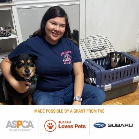 GHHSPets's tweet photo. Adorable! A couple of the Adoptions of the Week photos, thanks to @LMSubaru  and #aspca 💙 https://t.co/P3h5mfHSUu