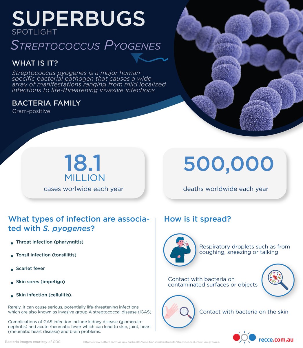 ReccePharma's tweet photo. 🦠 #StreptococcusPyogenes: a versatile #pathogen with a wide range of impacts on #humanhealth. From localized #infections to severe, life-threatening cases, understanding its behavior is crucial for effective management. 🏥 https://t.co/j8BY1UTzqn