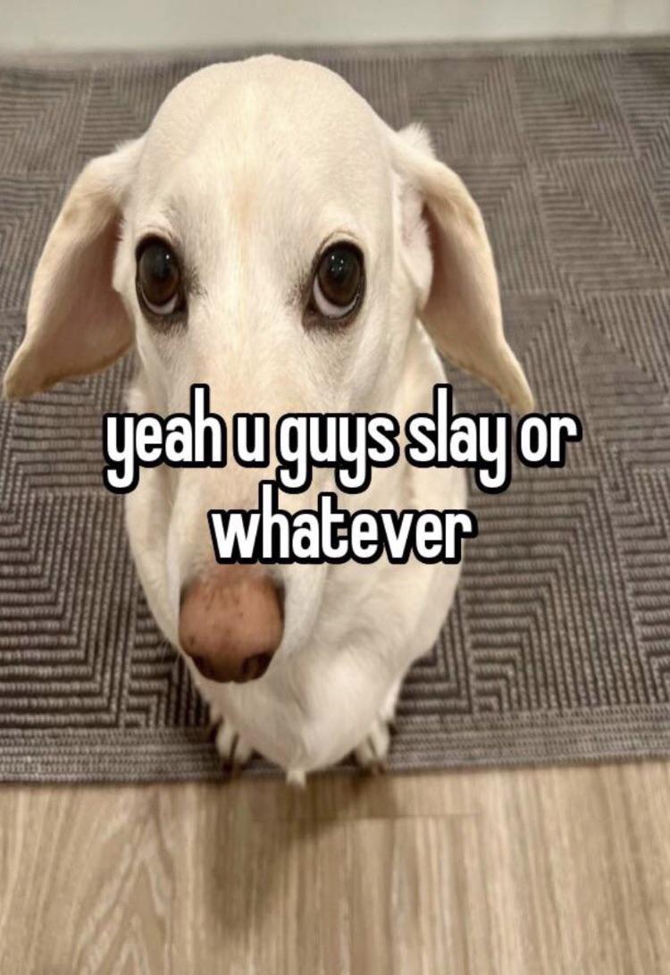 RisingMoonSign's tweet image. Me when heartsteel causes property damage (everyday)