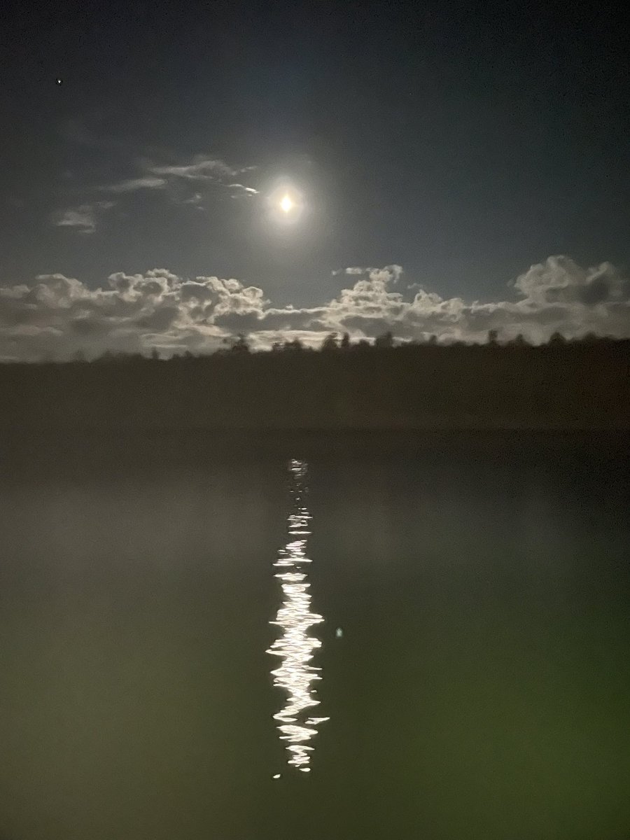 Moonlight
