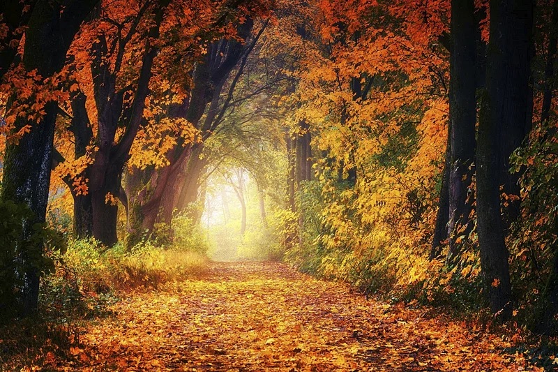 friedlanderadam's tweet photo. November is known as a month for giving thanks, and I'm always thankful for being able to work with my son @FriedlanderNY. As always, I appreciate the new &amp; long tenured colleagues here--and the same for our brokers &amp; clients. Wishing everyone a wonderful #November! https://t.co/JmuHiejMry